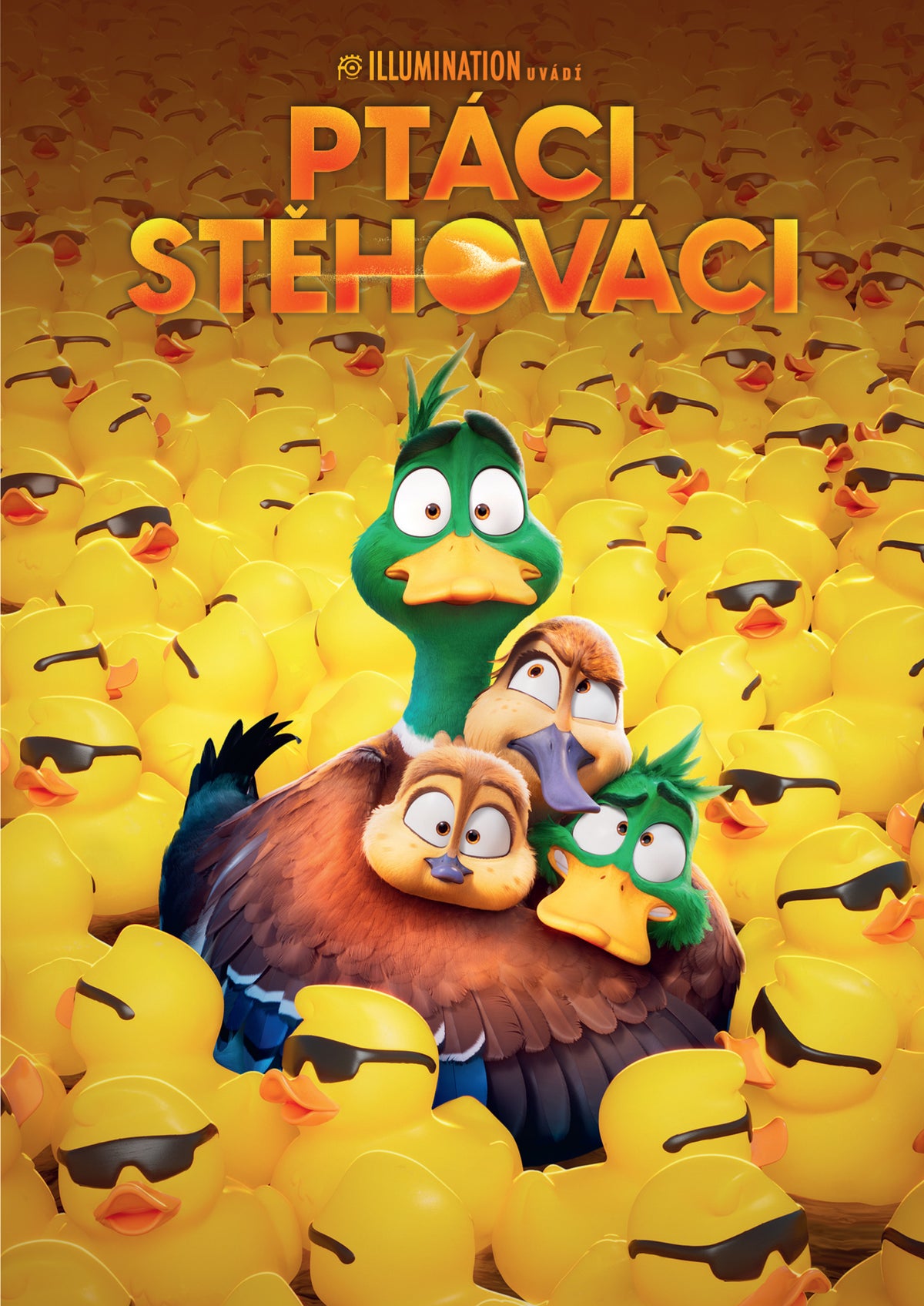 Migration / Ptaci stehovaci DVD