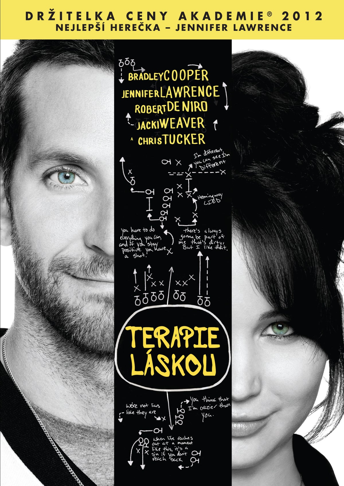Silver Linings Playbook / Terapie laskou DVD