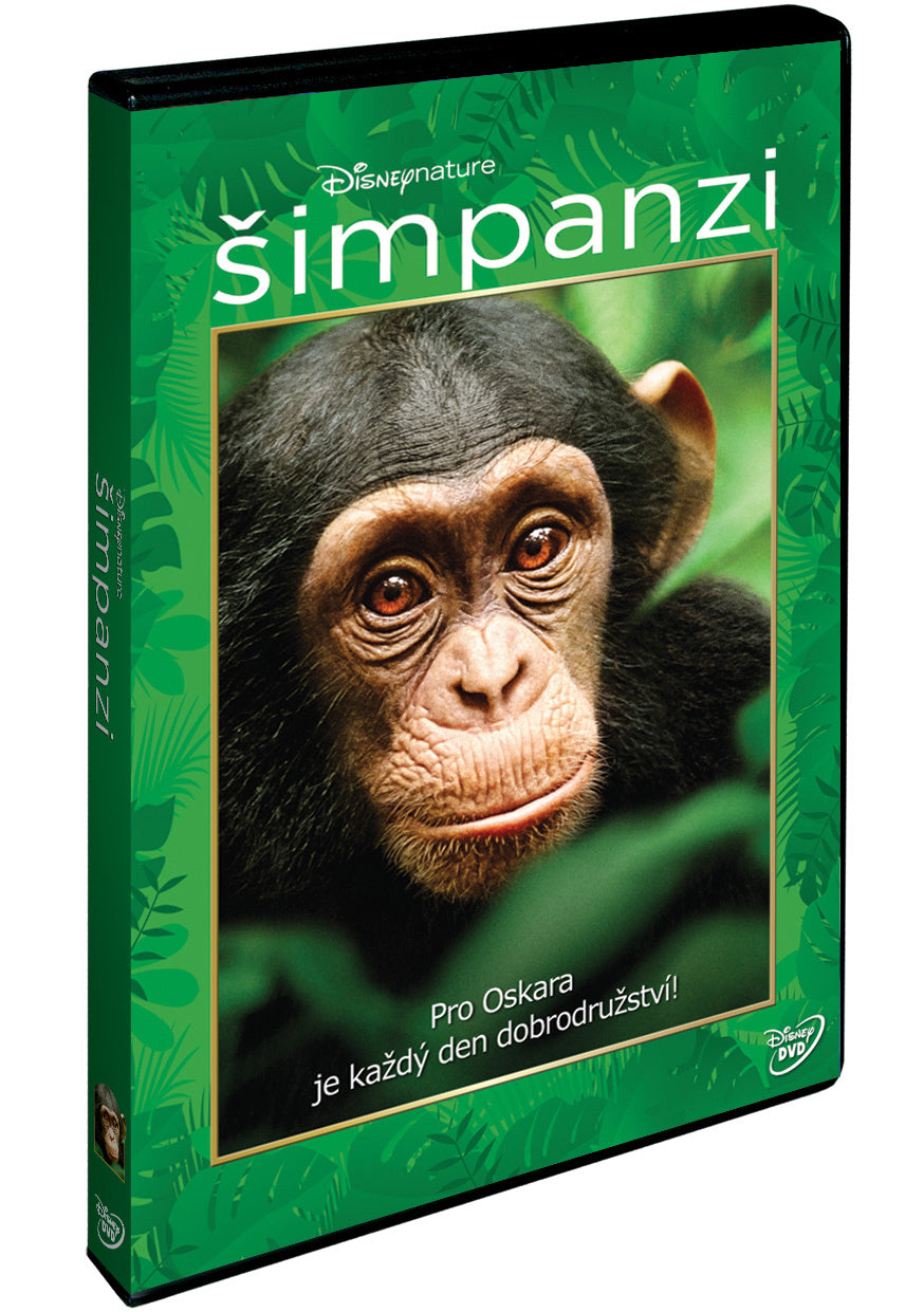 Simpanzi DVD / Chimpanzee