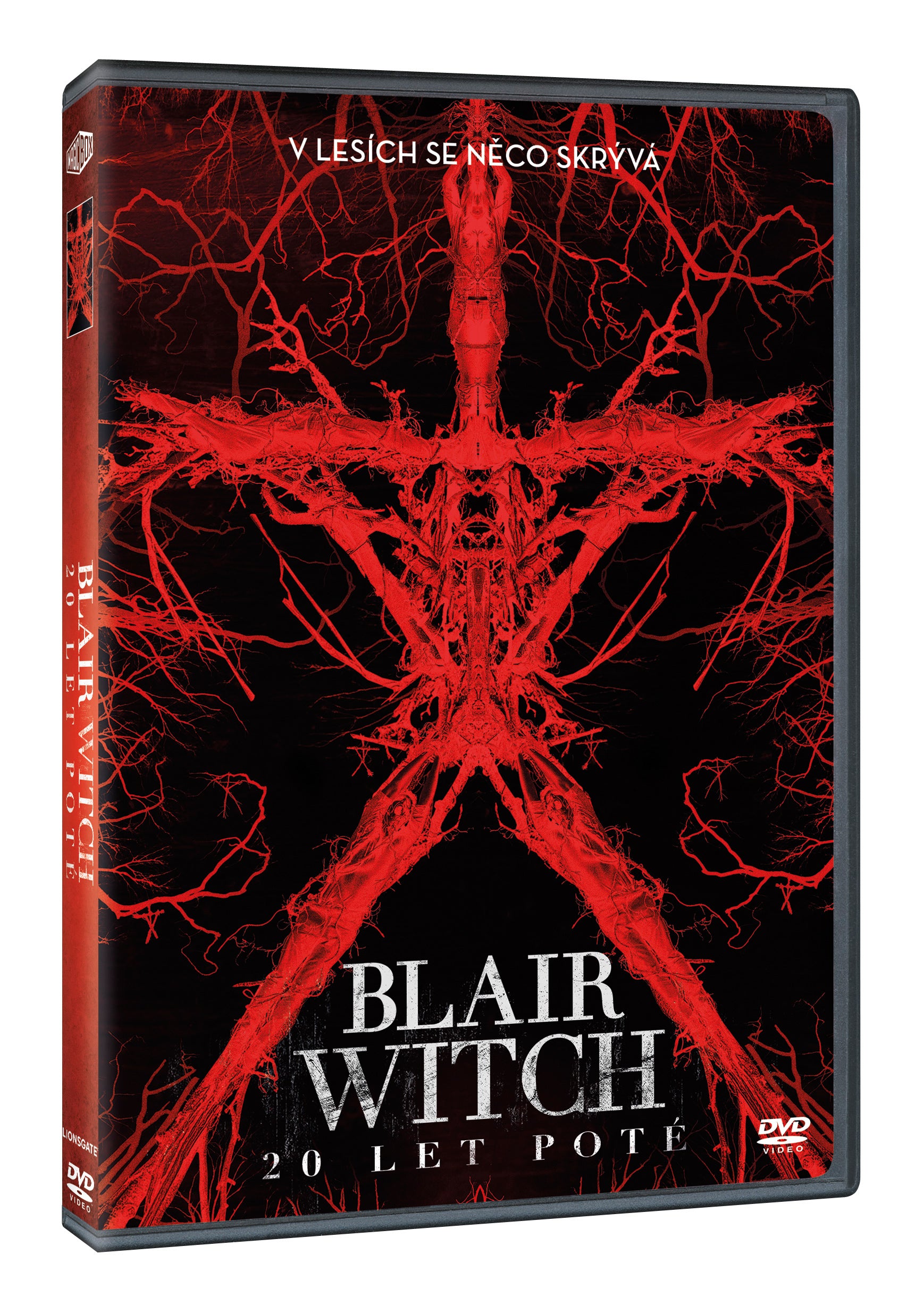 Blair Witch: 20 let pote DVD / Blair Witch