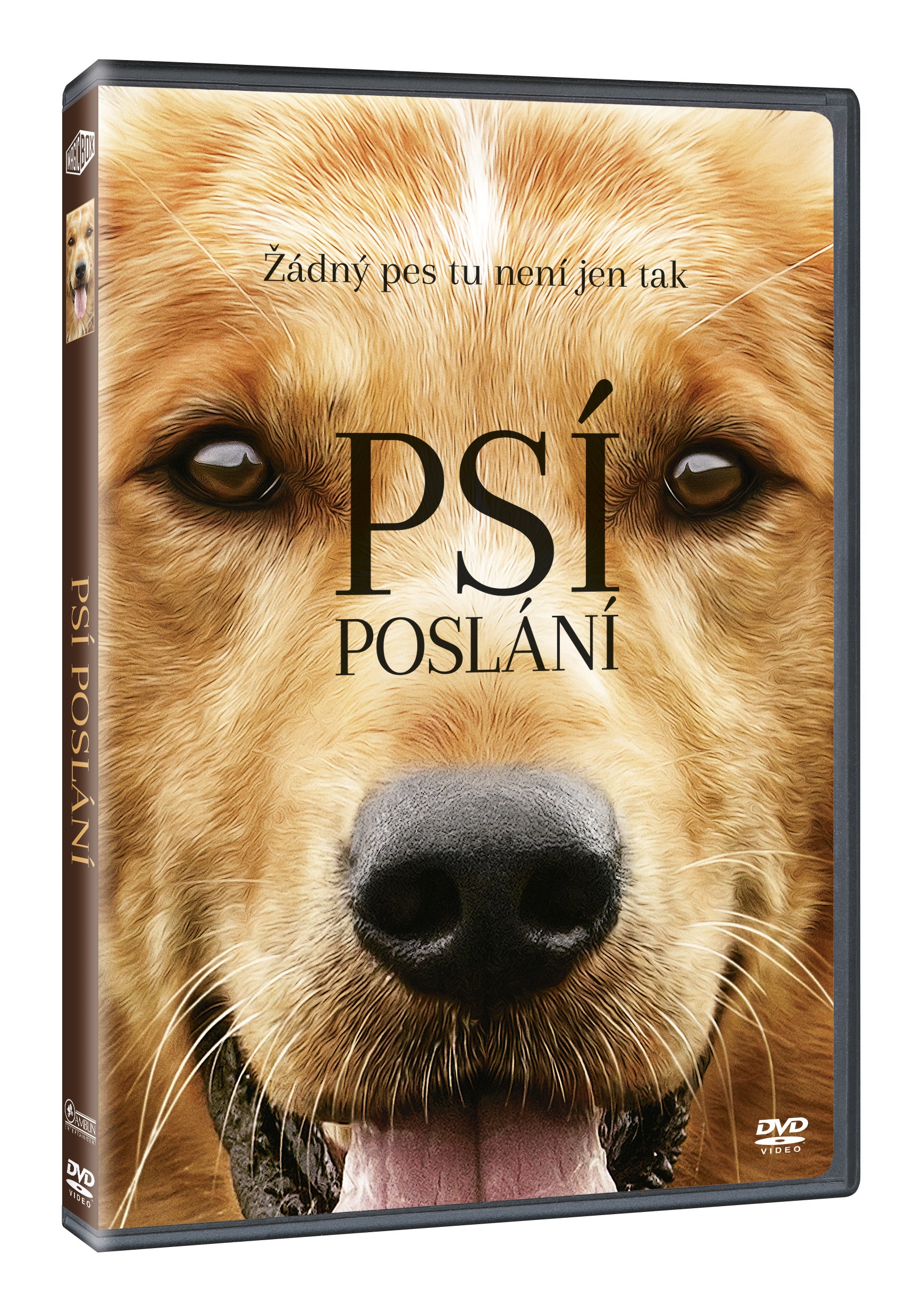 Psi poslani DVD / A Dog's Purpose