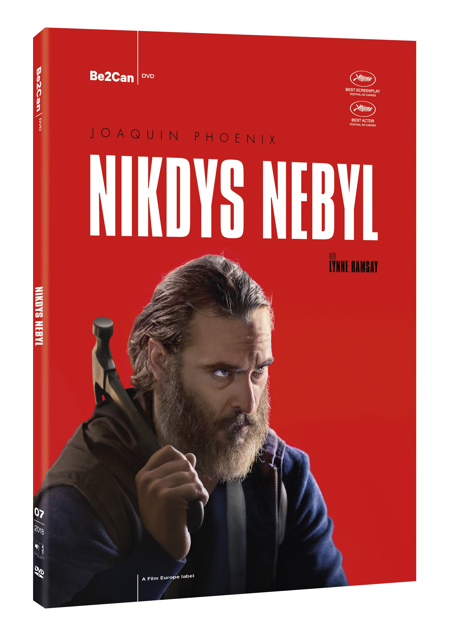 Nikdys nebyl DVD / You were never really here