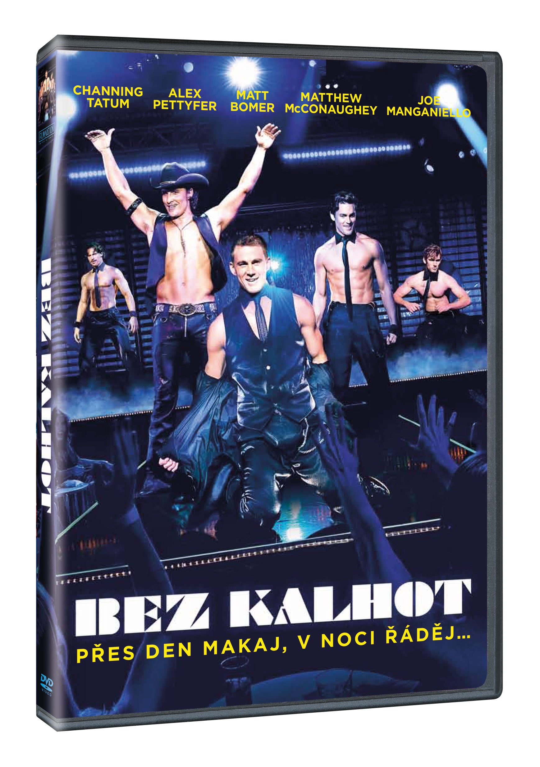 Bez kalhot DVD / Magic Mike