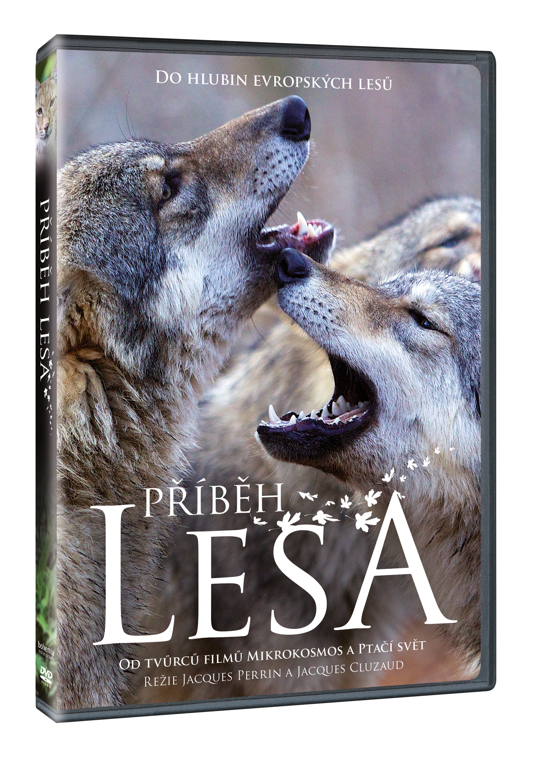 Pribeh lesa DVD / Jahreszeiten