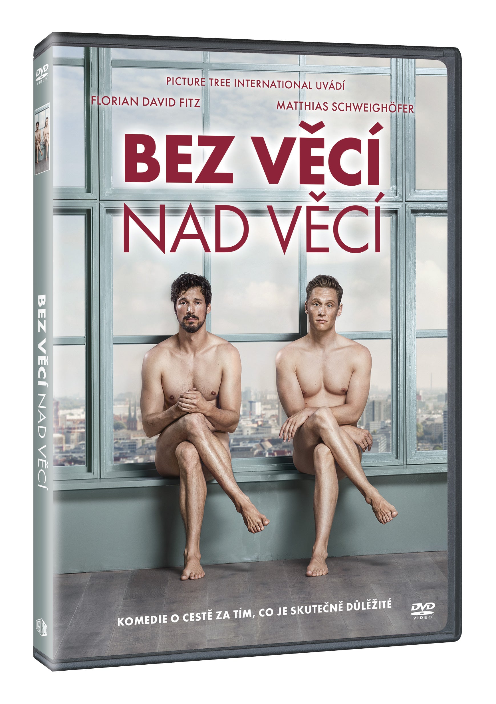 Bez VECI NAD VECI DVD / 100 Dinge (czech Version) 