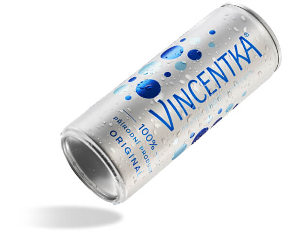Vincentka Mineralwasser 250 ml Dose